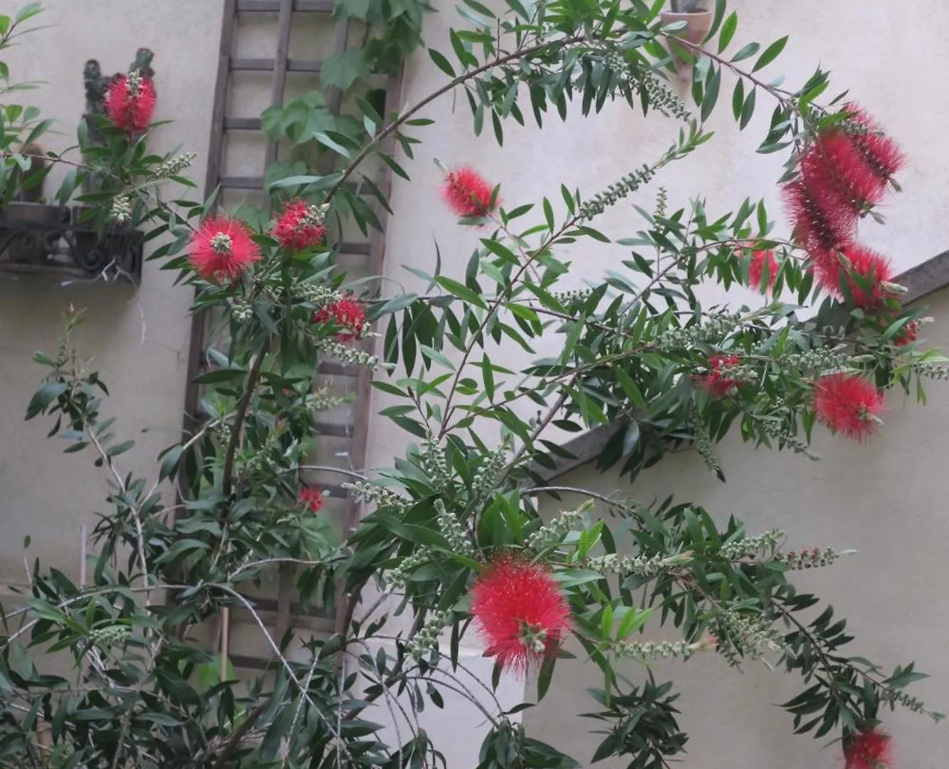 Bed and Breakfast Tombe La Nefle à Avignon 0*,